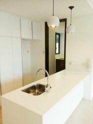 Terrene At Bukit Timah (D21), Condominium #605178321